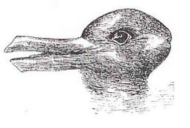 260px-Duck-Rabbit_illusion